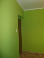 zelená pokoj